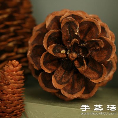 松子變廢為寶 DIY漂亮節(jié)日裝飾品 -  itrip.net.cn
