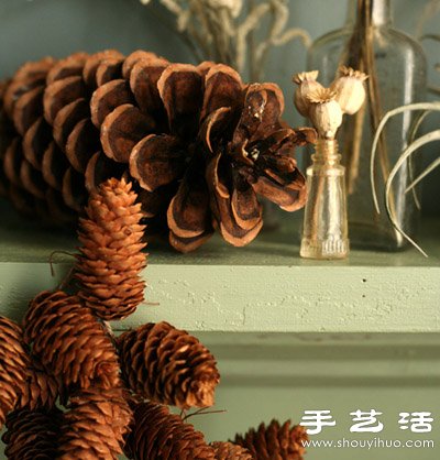 松子變廢為寶 DIY漂亮節(jié)日裝飾品 -  itrip.net.cn