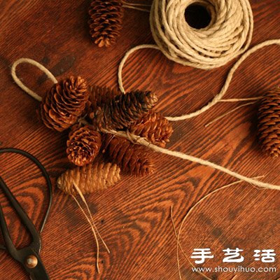 松子變廢為寶 DIY漂亮節(jié)日裝飾品 -  itrip.net.cn
