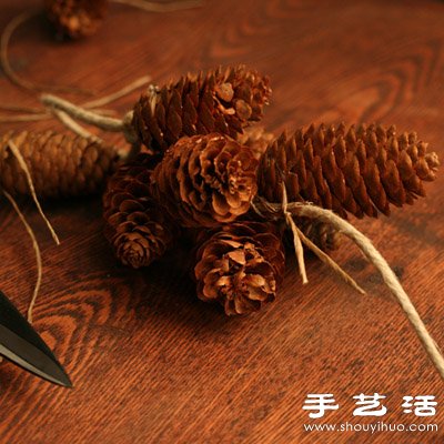 松子變廢為寶 DIY漂亮節(jié)日裝飾品 -  itrip.net.cn