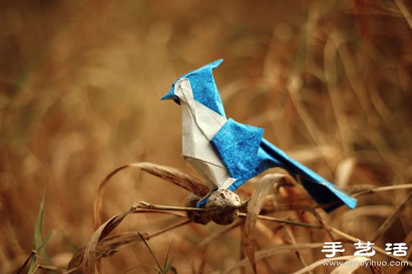 栩栩如生的創(chuàng)意折紙小動(dòng)物 -  itrip.net.cn