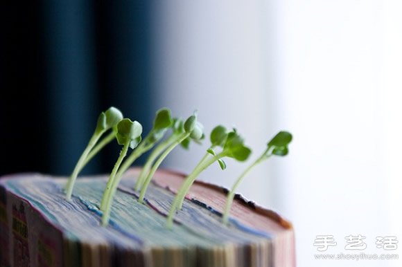 廢舊書(shū)籍作花盆 廢物利用種植蘿卜苗 -  itrip.net.cn