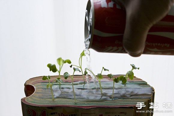 廢舊書(shū)籍作花盆 廢物利用種植蘿卜苗 -  itrip.net.cn