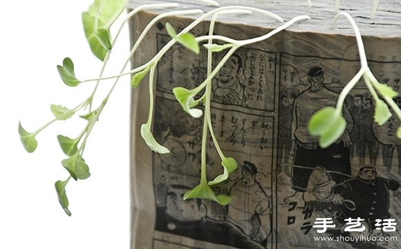廢舊書(shū)籍作花盆 廢物利用種植蘿卜苗 -  itrip.net.cn