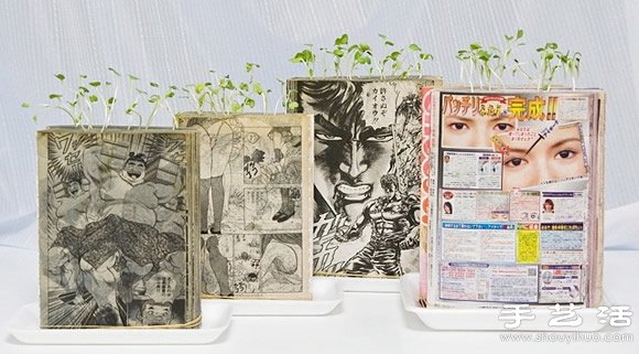 廢舊書(shū)籍作花盆 廢物利用種植蘿卜苗 -  itrip.net.cn