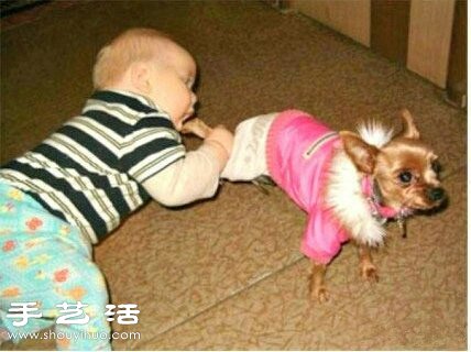 再怎么樣也不能餓到寶寶 -  itrip.net.cn