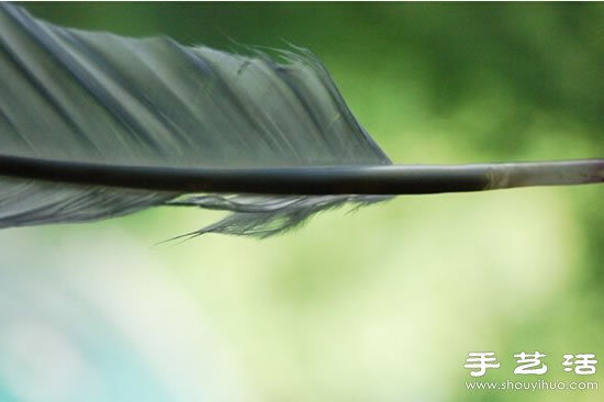 自制鵝毛筆 鵝毛筆的制作方法教程 -  itrip.net.cn