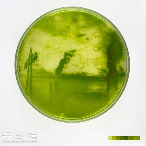 利用藻類微生物DIY制作創(chuàng)意海藻畫 -  itrip.net.cn