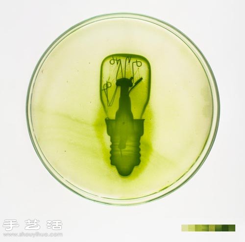 利用藻類微生物DIY制作創(chuàng)意海藻畫 -  itrip.net.cn