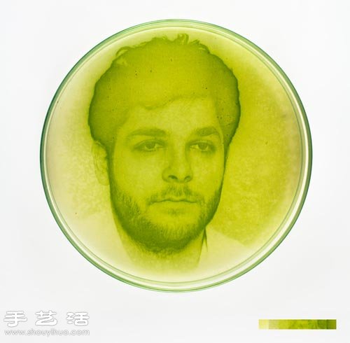 利用藻類微生物DIY制作創(chuàng)意海藻畫 -  itrip.net.cn