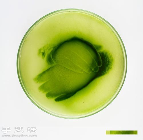 利用藻類微生物DIY制作創(chuàng)意海藻畫 -  itrip.net.cn