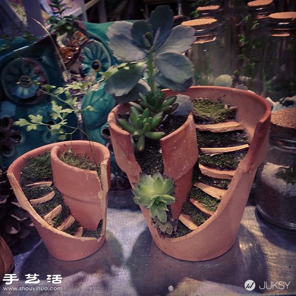 破花盆變廢為寶DIY制作超美的創(chuàng)意盆栽 -  itrip.net.cn