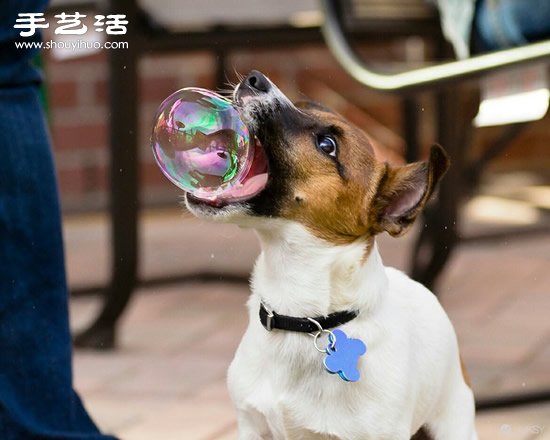 生活中那些充滿趣味的照片~ -  itrip.net.cn