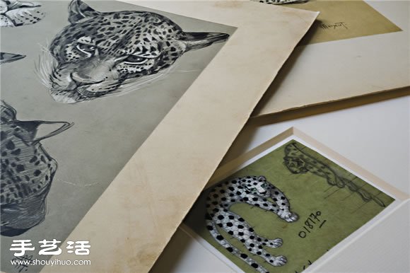 獵豹：卡地亞的代表性圖騰 -  itrip.net.cn