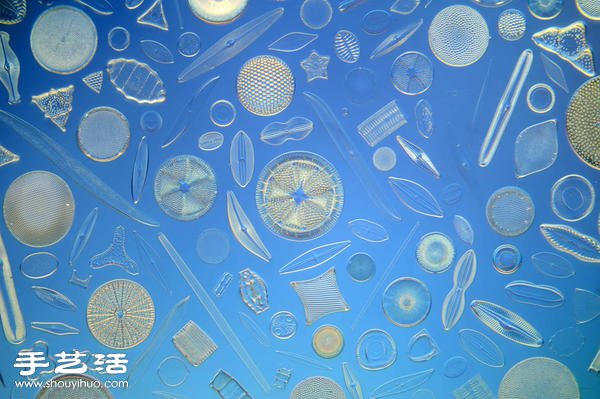 顯微鏡下的絕美 單細(xì)胞硅藻排列的視覺(jué)藝術(shù) -  itrip.net.cn