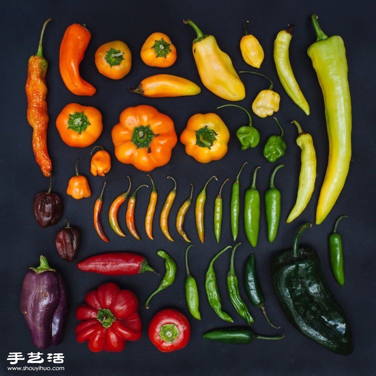 藝術(shù)家們利用各種食材DIY的創(chuàng)意拼貼畫 -  itrip.net.cn