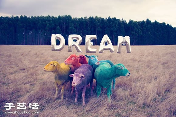 奇幻彩色羊攝影 「DREAM SERIES」 -  itrip.net.cn