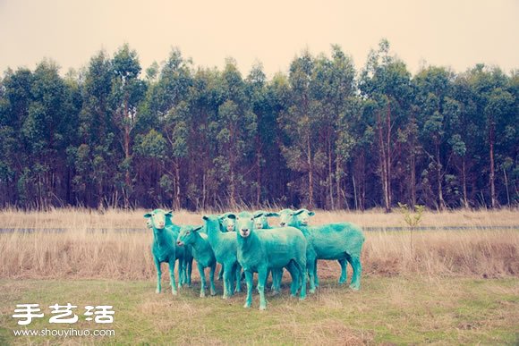 奇幻彩色羊攝影 「DREAM SERIES」 -  itrip.net.cn
