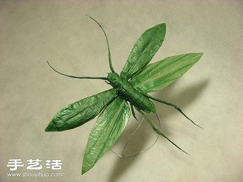 一組非常精致逼真的創(chuàng)意動物折紙作品 -  itrip.net.cn