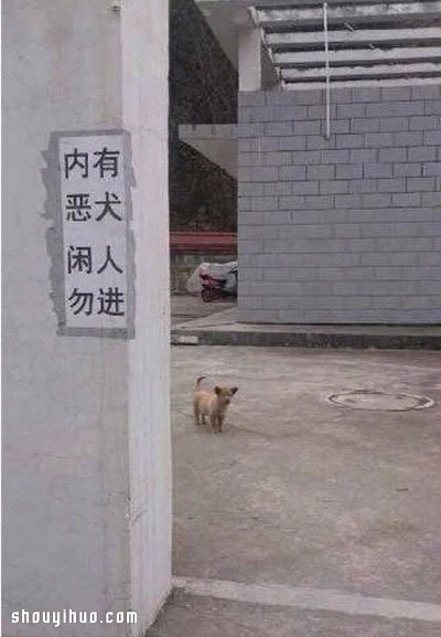 難得一見的8張趣圖 不信點不中你的笑穴！ -  itrip.net.cn