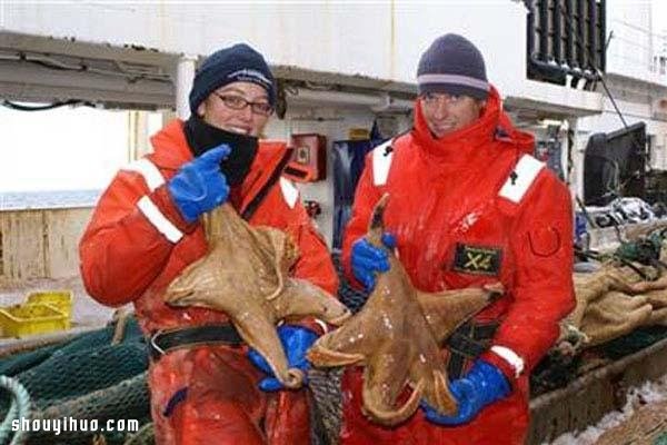 世界紀(jì)錄最巨大的21種動(dòng)物 大的嚇?biāo)廊耍?-  itrip.net.cn