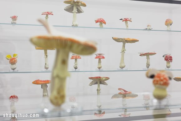 詭異又可愛的巨型蘑菇裝置雕塑作品 -  itrip.net.cn