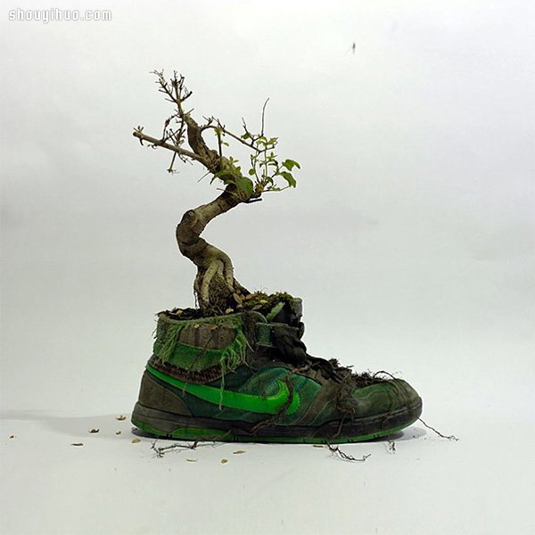 NIKE 球鞋創(chuàng)意DIY 變身漂亮小盆栽 -  itrip.net.cn