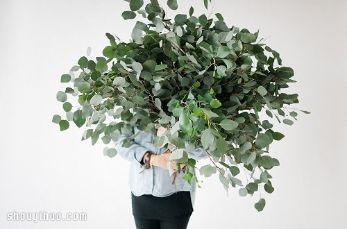 利用鮮花植物裝扮布置圣誕節(jié)春節(jié)家居空間 -  itrip.net.cn