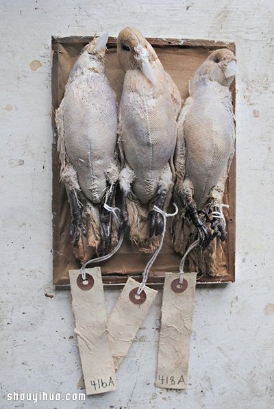 Mister Finch 的布藝手工藝術(shù)品欣賞 -  itrip.net.cn