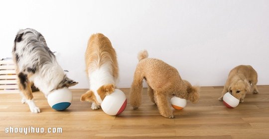 Oppo Food Ball 讓狗狗慢食的不倒翁碗 -  itrip.net.cn