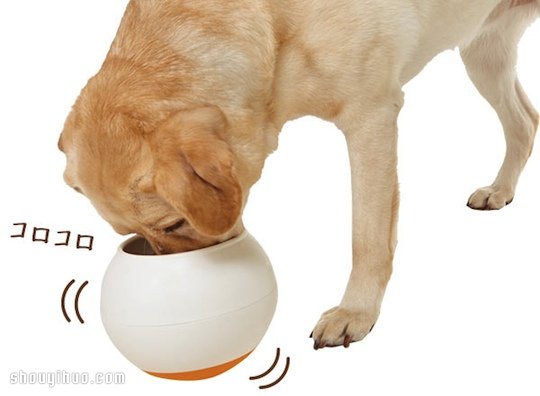 Oppo Food Ball 讓狗狗慢食的不倒翁碗 -  itrip.net.cn