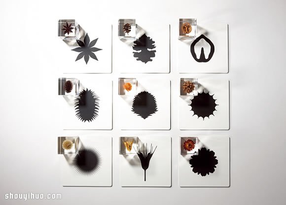 立方塊里的治愈宇宙 京都植物標(biāo)本作品展覽 -  itrip.net.cn
