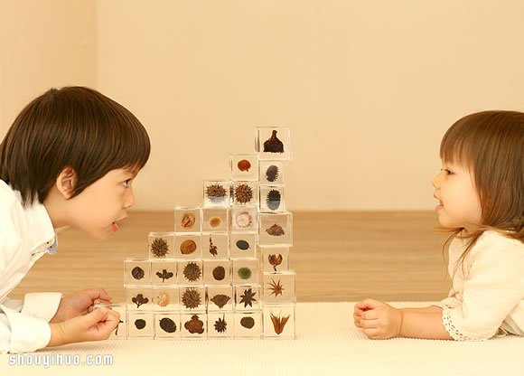 立方塊里的治愈宇宙 京都植物標(biāo)本作品展覽 -  itrip.net.cn