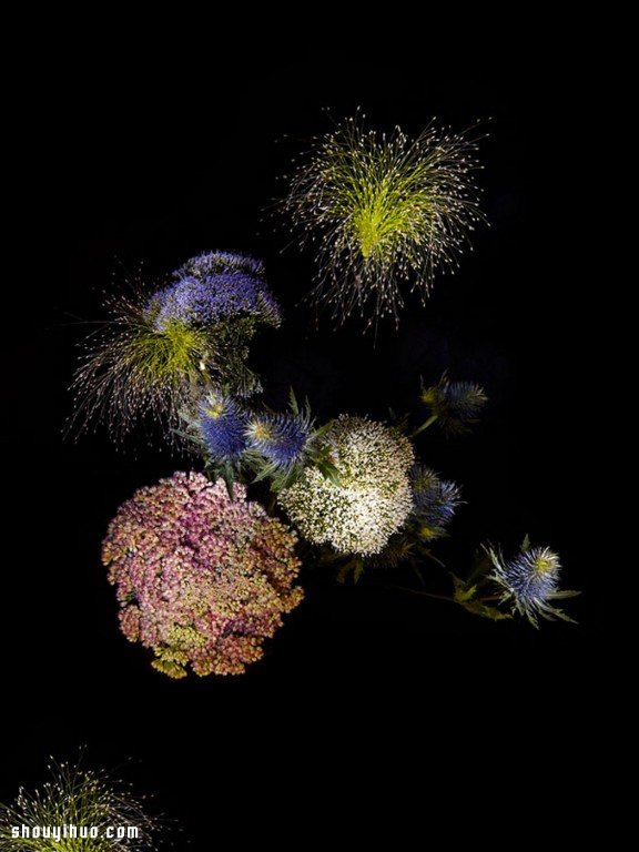 Flowerwork 德國藝術(shù)家設(shè)計的花朵煙花 -  itrip.net.cn
