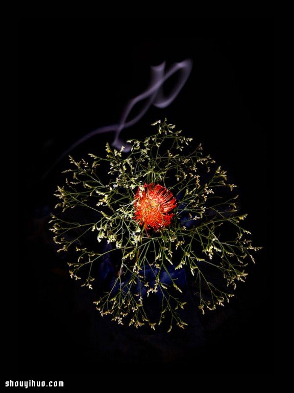 Flowerwork 德國藝術(shù)家設(shè)計的花朵煙花 -  itrip.net.cn