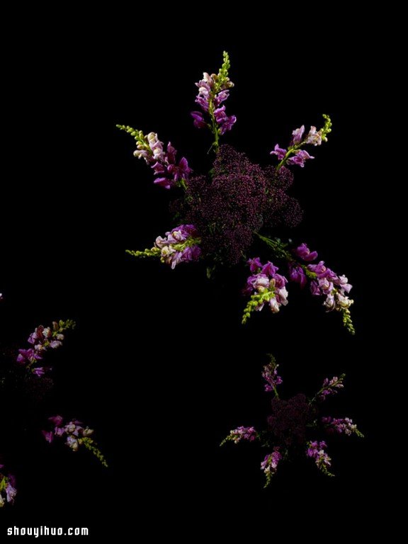 Flowerwork 德國藝術(shù)家設(shè)計的花朵煙花 -  itrip.net.cn