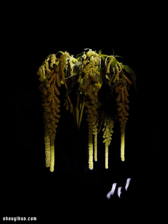 Flowerwork 德國藝術(shù)家設(shè)計的花朵煙花 -  itrip.net.cn