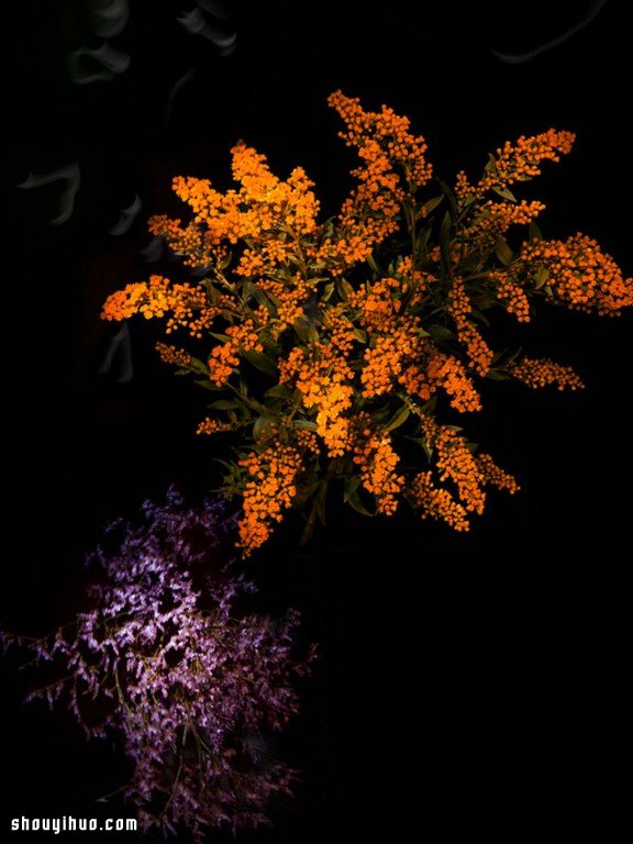 Flowerwork 德國藝術(shù)家設(shè)計的花朵煙花 -  itrip.net.cn