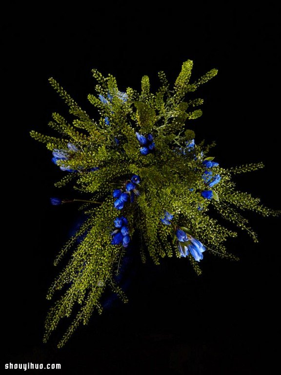 Flowerwork 德國藝術(shù)家設(shè)計的花朵煙花 -  itrip.net.cn
