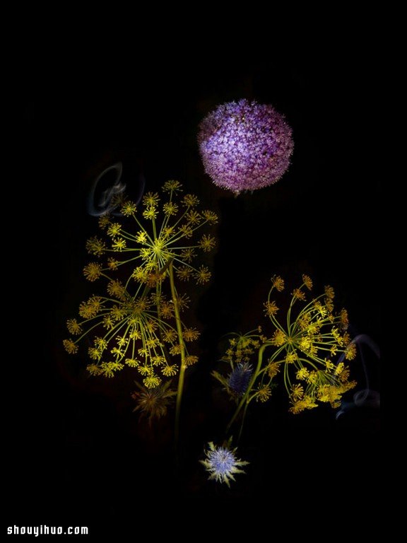 Flowerwork 德國藝術(shù)家設(shè)計的花朵煙花 -  itrip.net.cn