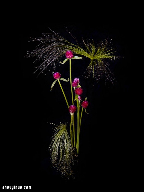 Flowerwork 德國藝術(shù)家設(shè)計的花朵煙花 -  itrip.net.cn