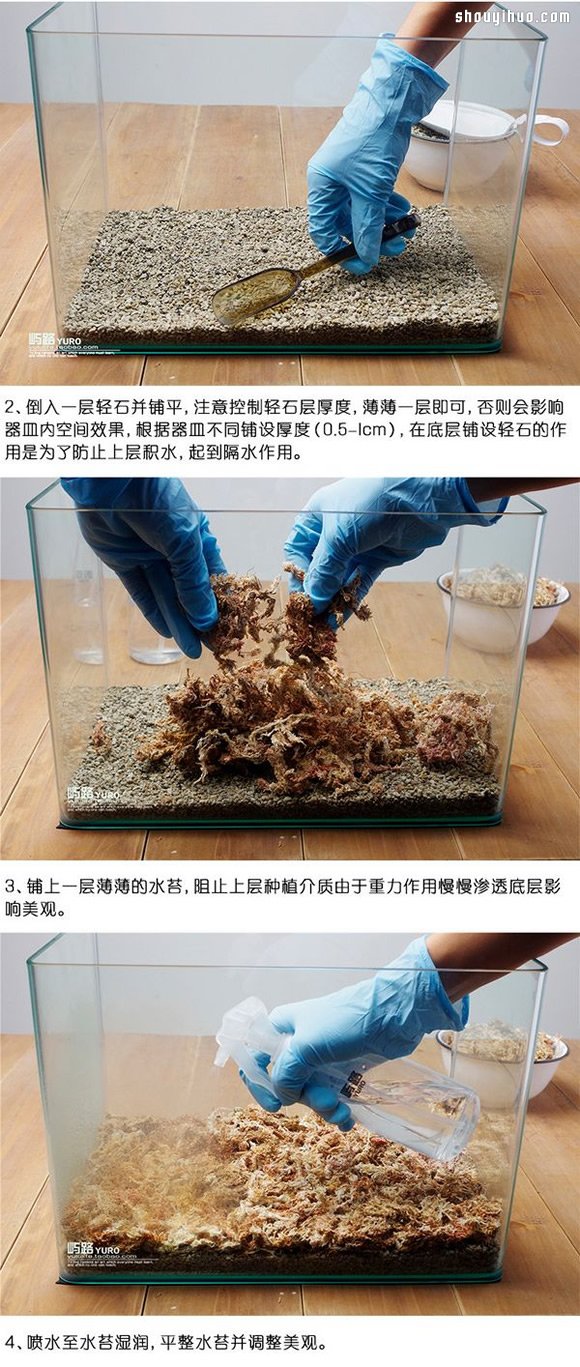 苔蘚微景觀制作材料及方法詳細圖解教程 -  itrip.net.cn