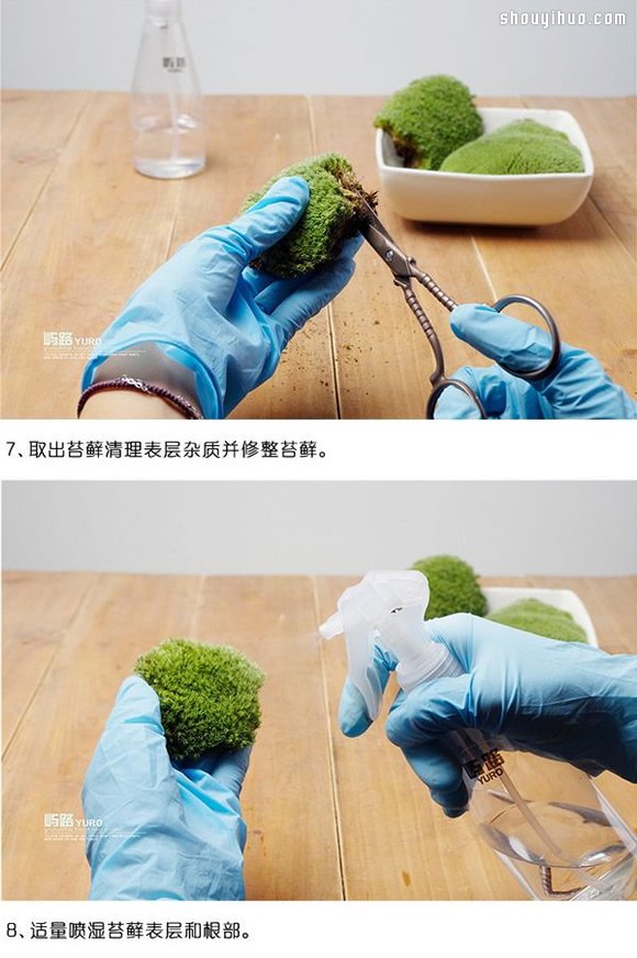 苔蘚微景觀制作材料及方法詳細圖解教程 -  itrip.net.cn