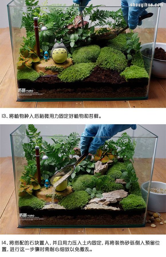 苔蘚微景觀制作材料及方法詳細圖解教程 -  itrip.net.cn