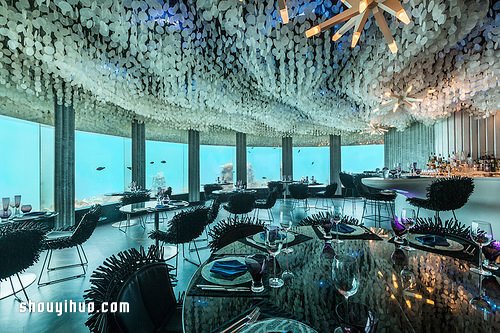 夢幻美麗的水下餐廳 就在渡假勝地馬爾地夫 -  itrip.net.cn