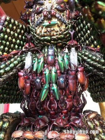 慎入！用昆蟲尸體制作武士盔甲和千手觀音 -  itrip.net.cn