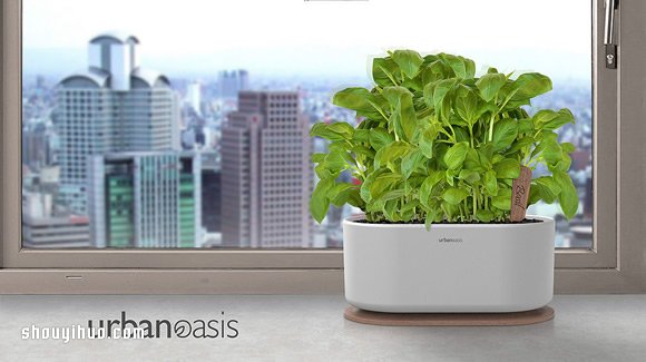 Urban Oasis工具組 讓你在家就能當(dāng)農(nóng)夫 -  itrip.net.cn