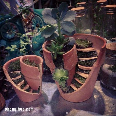 打破的花盆變廢為寶 DIY童話般美麗的盆景 -  itrip.net.cn