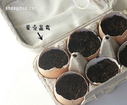 廢物利用創(chuàng)意花盆盆栽DIY -  itrip.net.cn