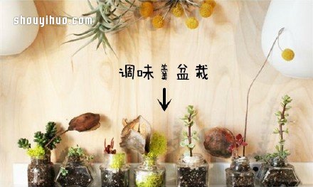 廢物利用創(chuàng)意花盆盆栽DIY -  itrip.net.cn